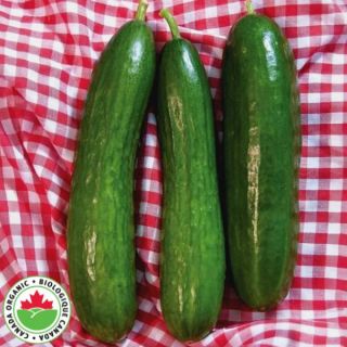Manny Organic Cucumber Thumbnail